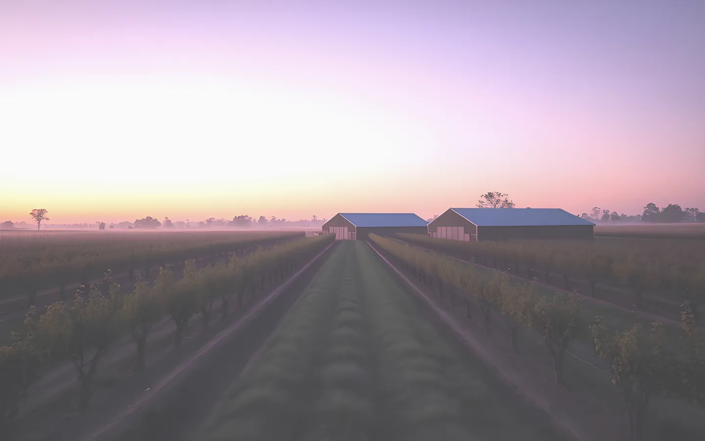 Shepparton orchards and irrigated farmland